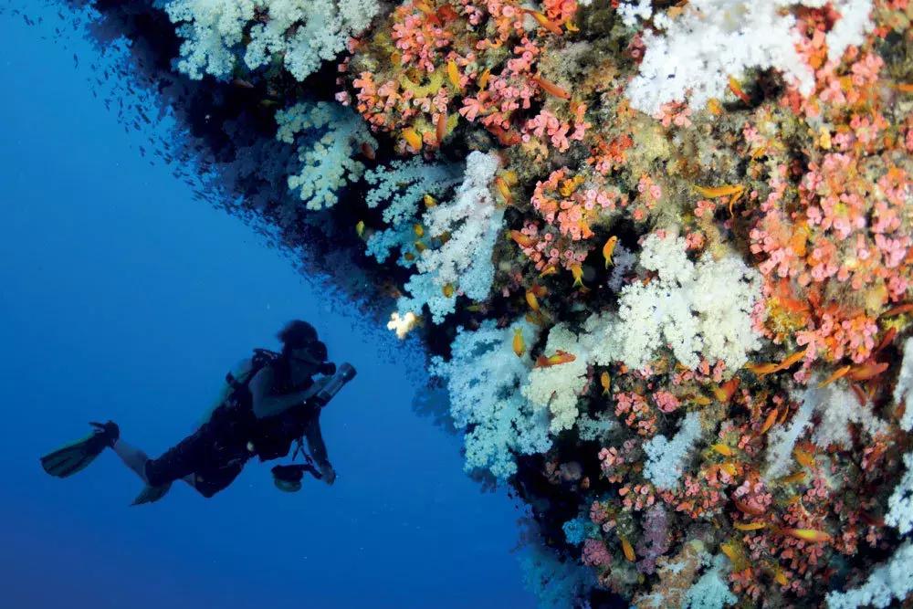 世界上最好的度假村,世界上最偏远的岛屿旅游