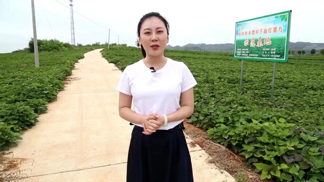 汝阳大安新天地,汝阳适合拓展的地方