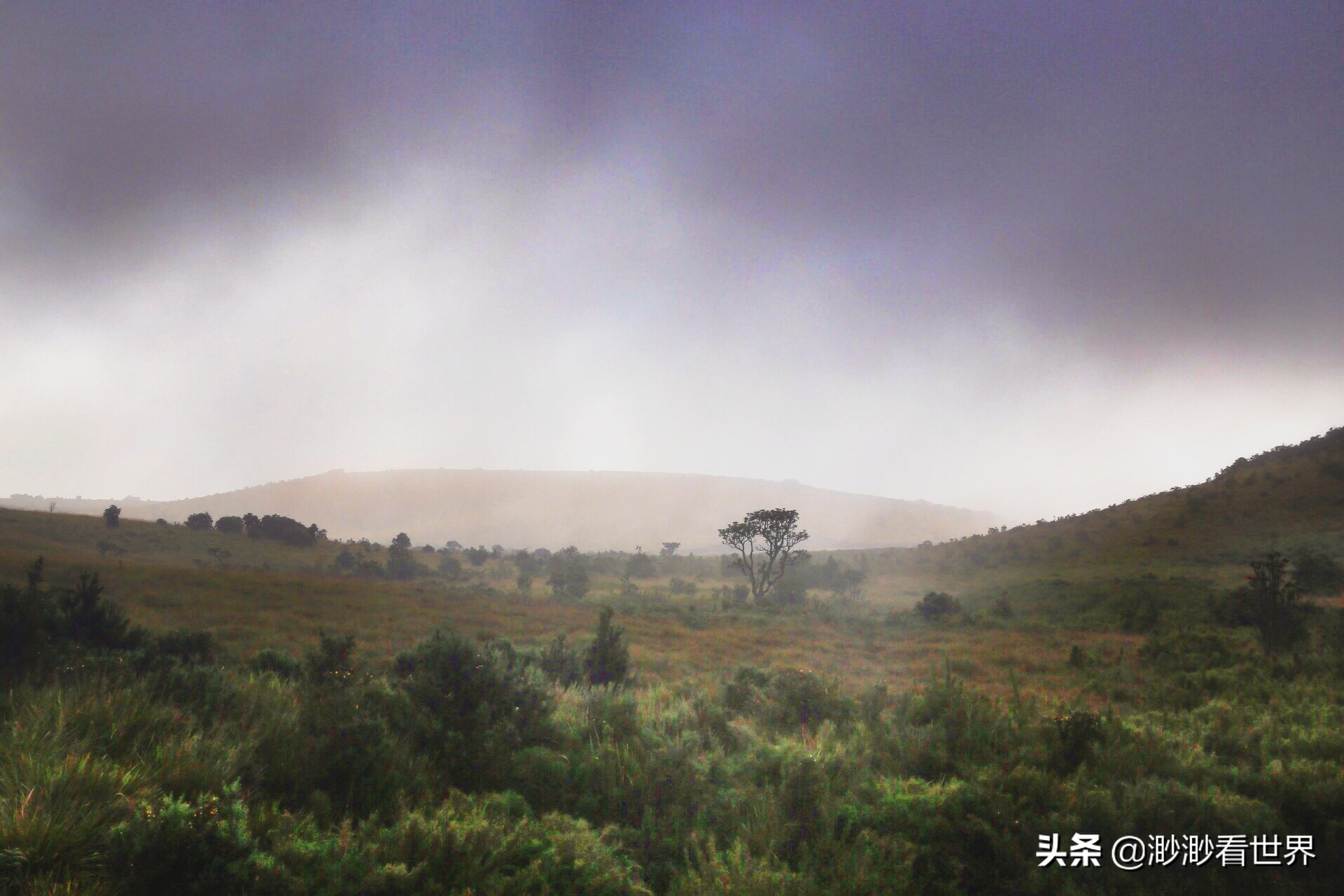 去斯里兰卡旅游攻略,1月去斯里兰卡旅游的最佳攻略