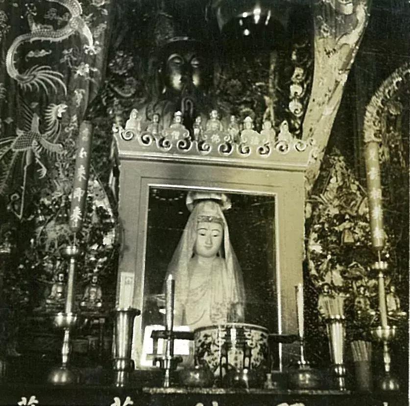 你可能没见过的姓氏,你可能没见过的日语