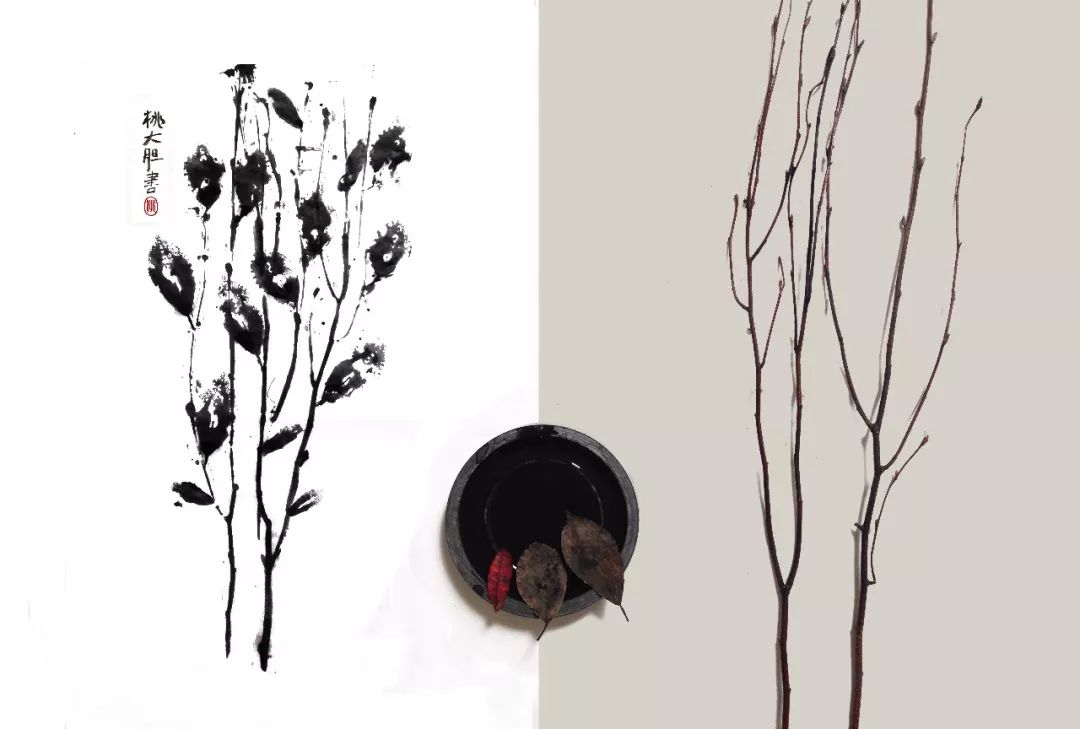 她31岁放弃北漂,回归自然,用枯枝败叶,打造了一个梦幻森林