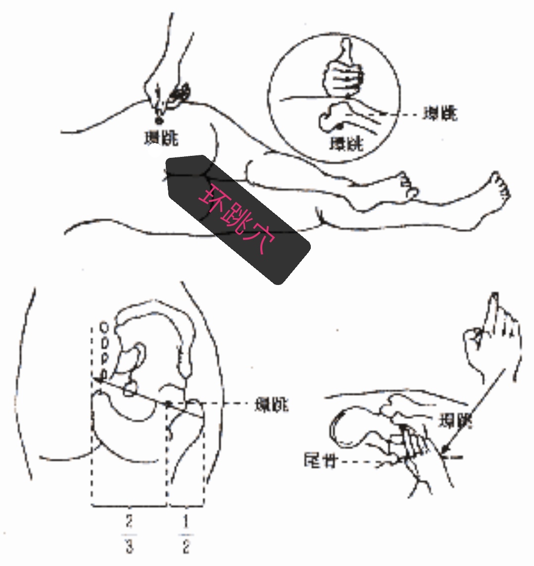 马丹阳十二穴治病方案,马丹阳针灸十二诀