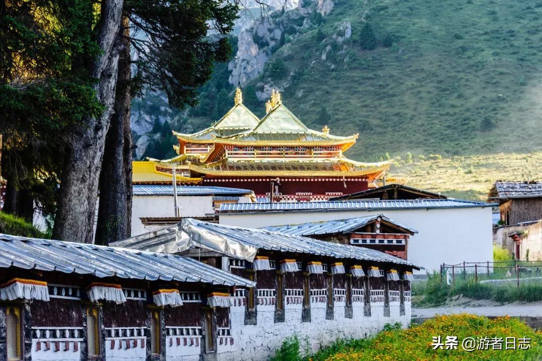 六月奔赴甘南去见证它究竟有多美,六月的甘南简直太美了