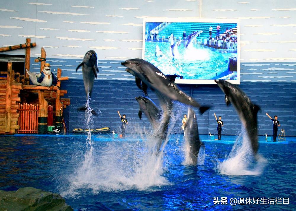 蓬莱区值得去的地方,蓬莱最繁华地段在什么位置