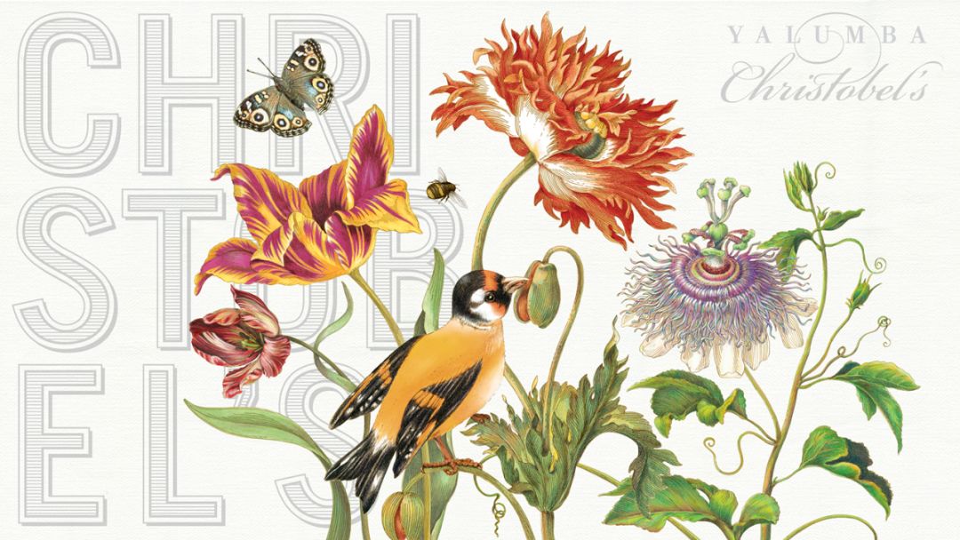 创意包装设计简约也是一种美,令人心动的10款包装设计