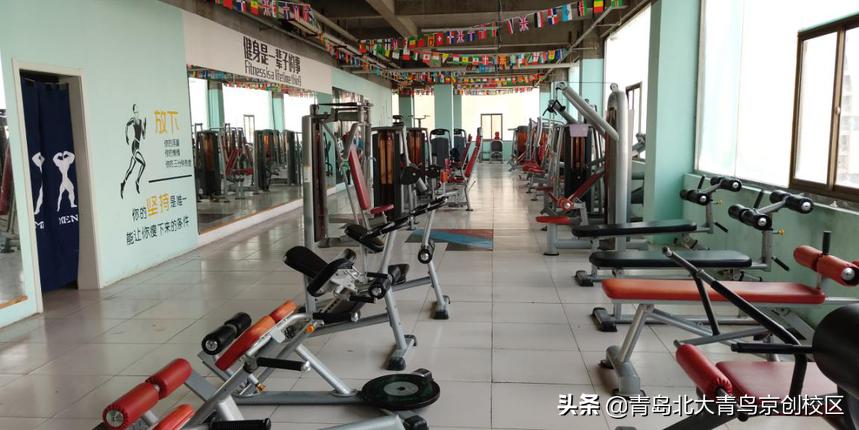 青岛北大青鸟专业怎样,青岛北大青鸟教育机构