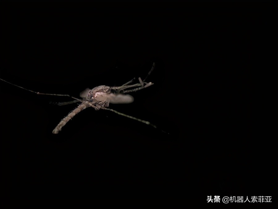 AI自动控制技术,ai智能灭蚊器