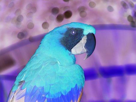 常见的图像处理方法有几种,简单的图像处理知识