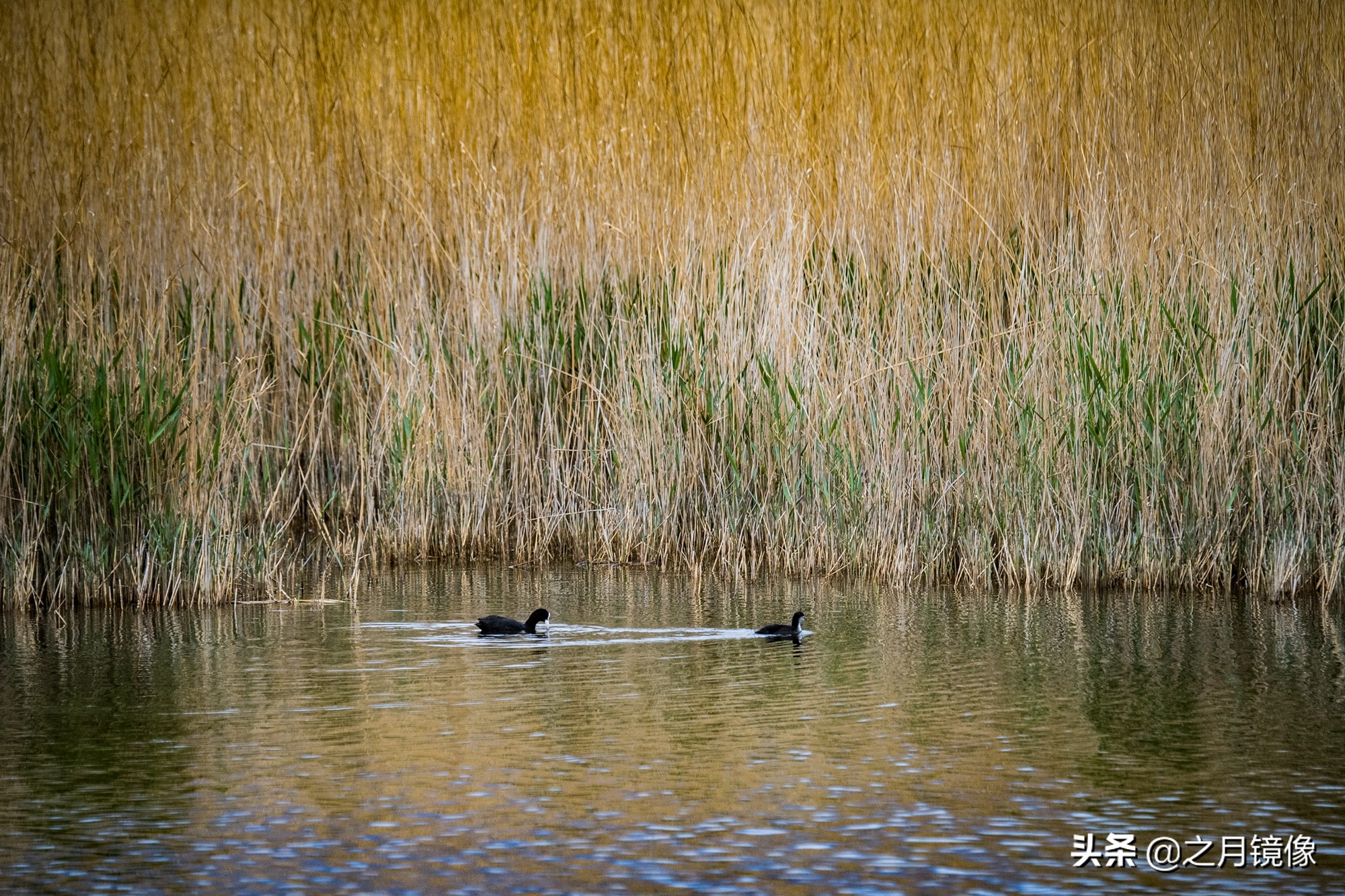 大柴达木湖和大柴旦翡翠湖,大柴旦翡翠湖在柴达木盆地