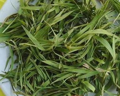 整合——28种青草药,赶快收藏备用!