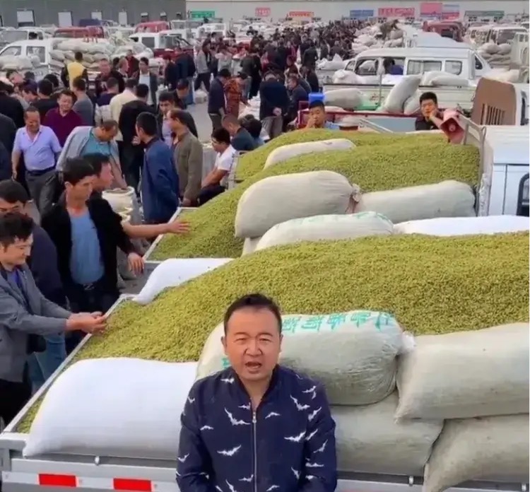 如果你去新疆吃葡萄你会怎么夸,去新疆不要问葡萄干多少钱一斤