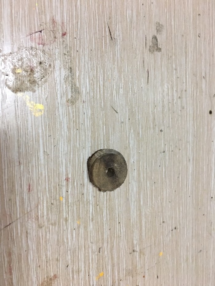 罗汉竹竿,罗汉竹和什么搭配好看