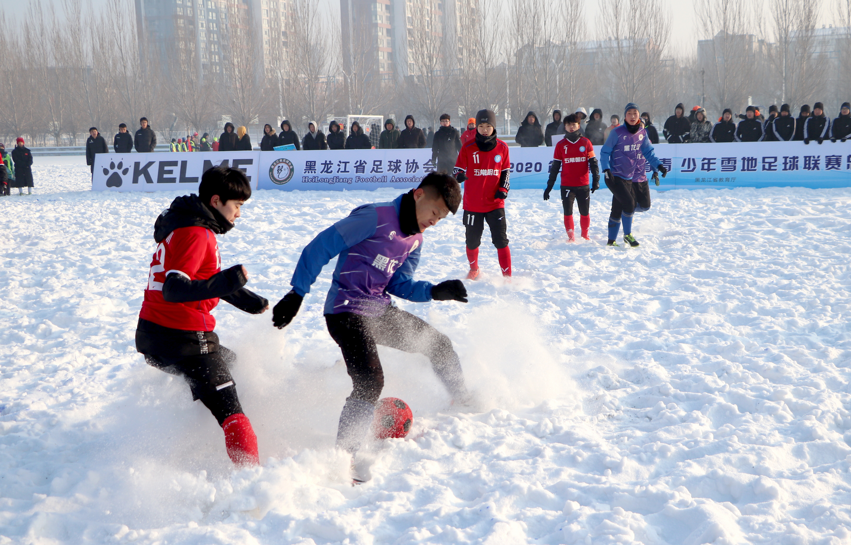 黑龙江省雪地杯足球落下帷幕,2019年哈尔滨雪地足球比赛