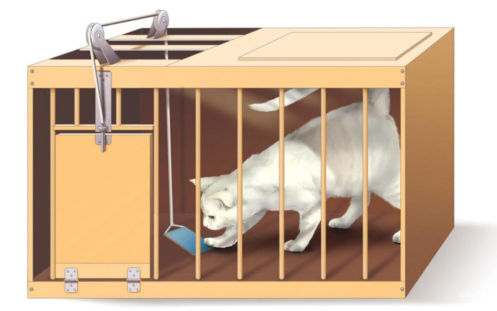 学习伴随我们终身，想要掌握正确的学习方式，唯有不断地尝试错误