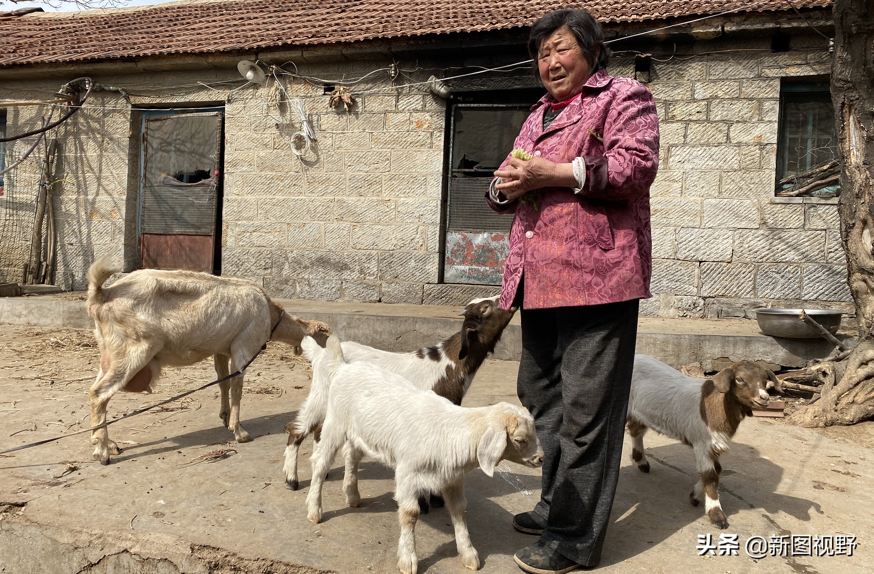 山村游玩,200元买大爷两箱“老酒”,帮我鉴定下是否中奖了