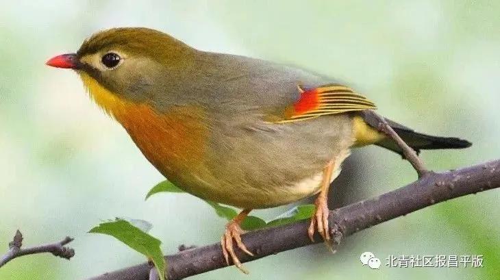 十月的昌平“购意思”，各色活动等您玩转