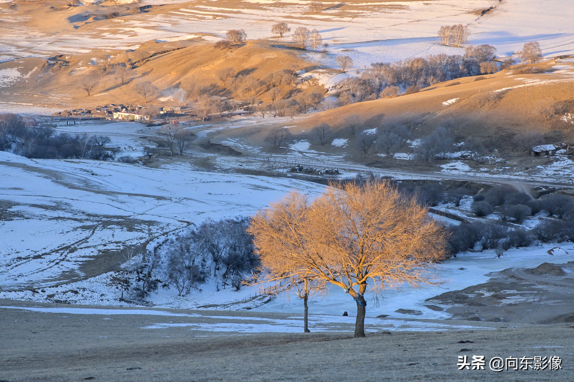 尼康z7一代高感,尼康z7ii4k60p是超采样吗