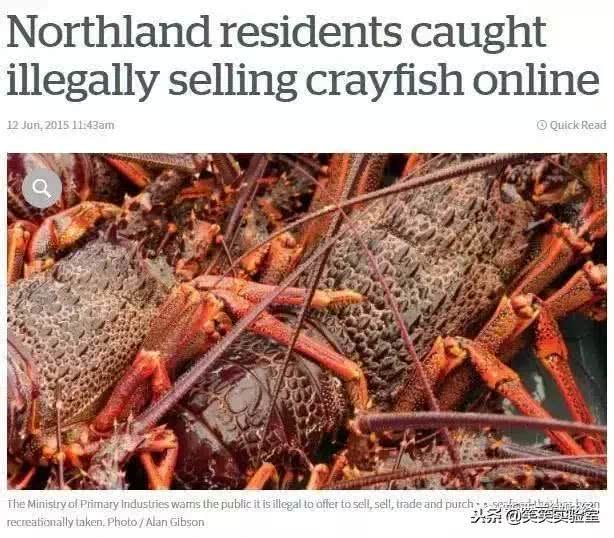 黑帮都用什么货币,黑帮的硬通货