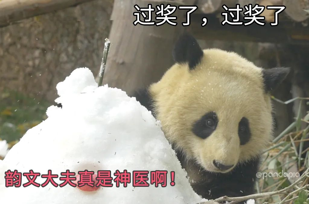 只要肯努力丑小鸭也能变成白天鹅,只要肯努力可以逆袭吗