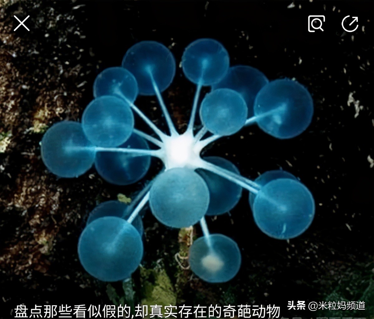 年度惊喜电影,8部科普必看的动画片