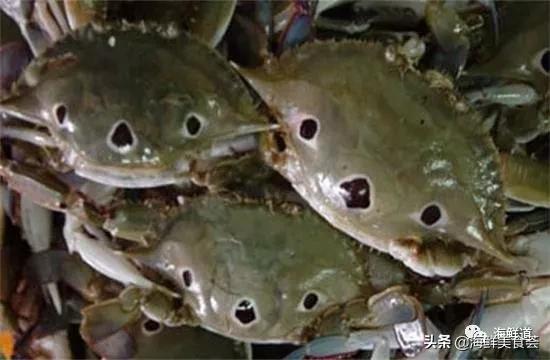 好吃不贵的海鲜种类有哪些,最好吃又最常见海鲜有几种