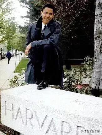 奥巴马夫人对特朗普的态度,奥巴马夫人批特朗普