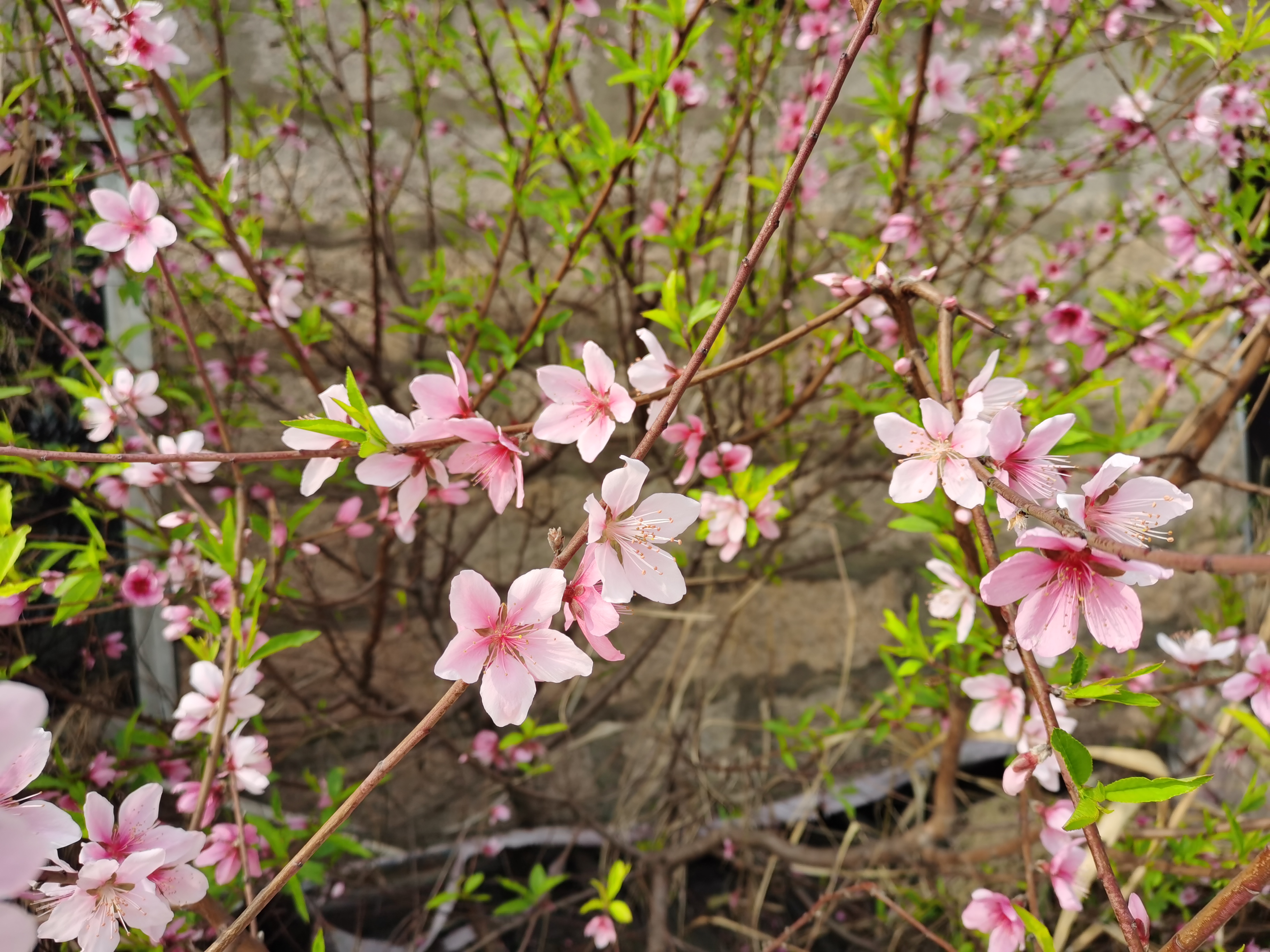假期余额不足珍惜最后的时光,假期余额不足珍惜最后的快乐时光