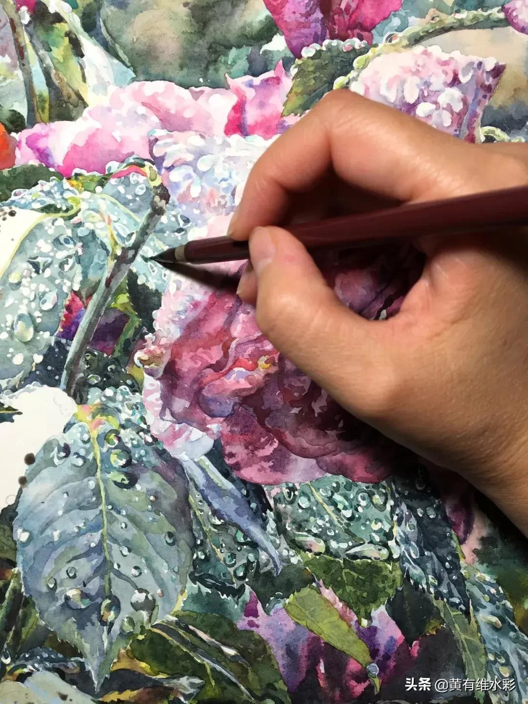 小清新水彩画玫瑰花,水彩画雨中玫瑰