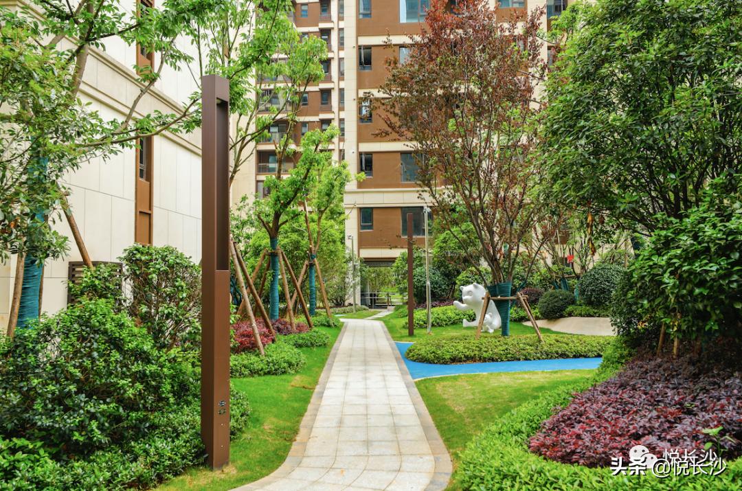 同价位，选精装现房or毛坯期房？还有德思勤商圈加持，近青园小学