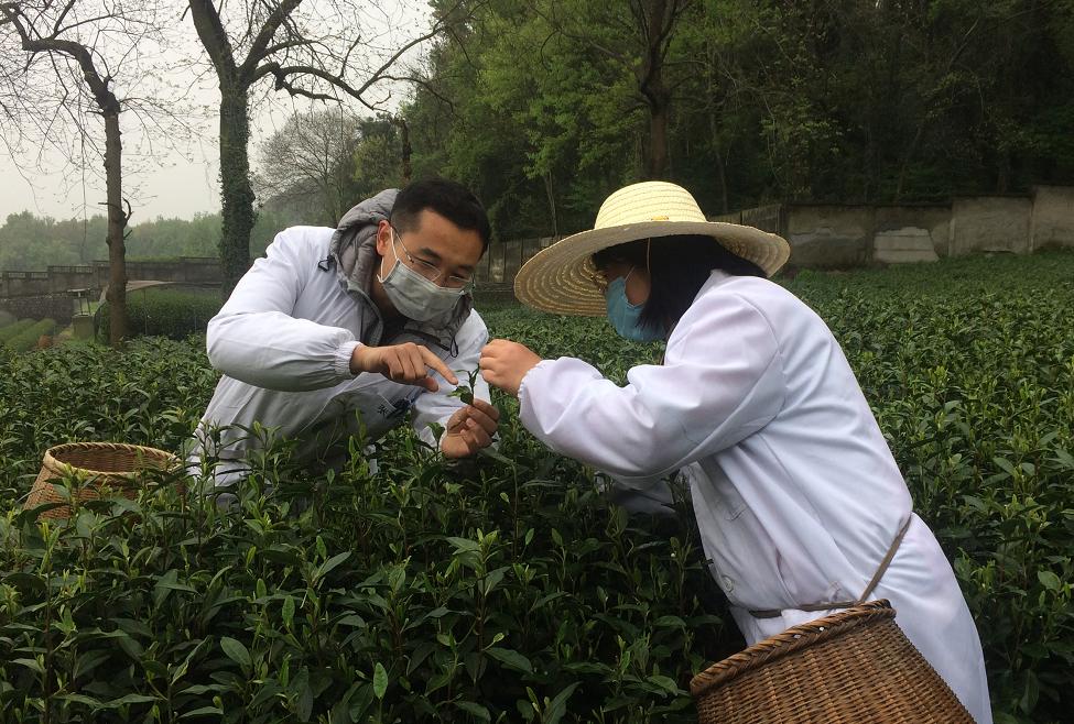 “冷专业”不冷！安徽农学毕业生的“热”力人生