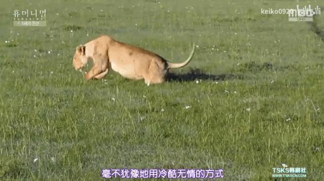 15岁怀孕，她被骗吃下*药炸**，一尸两命：有些人，这辈子不配为人