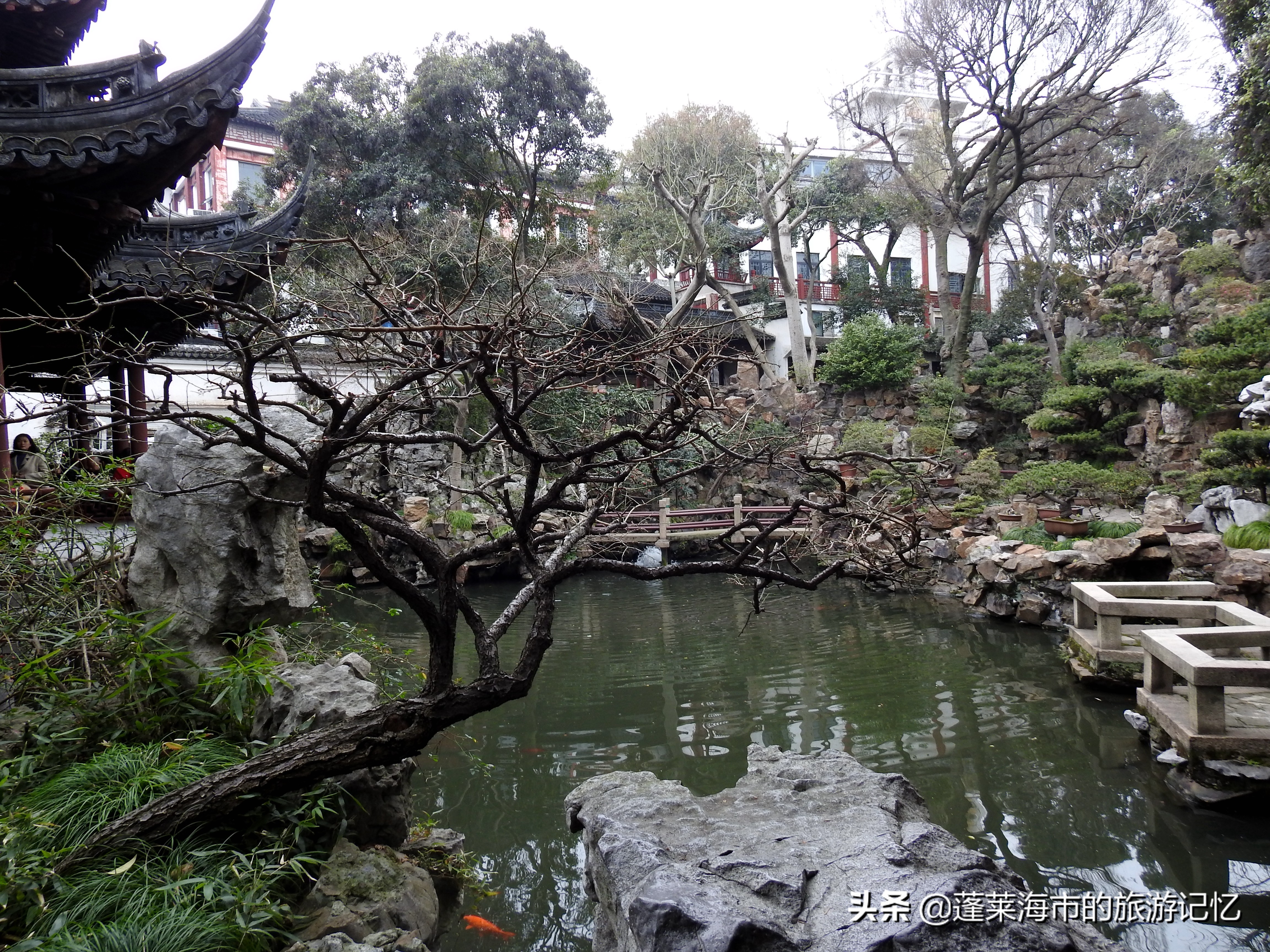 上海名园豫园,城市山林公园