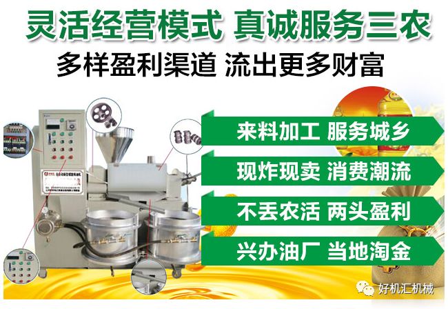 开个榨油坊怎么样,开榨油坊一年赚多少钱