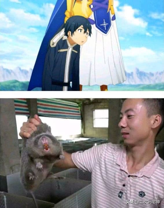 刀剑神域17话遭恶搞，电光超人爱丽丝，竹鼠桐人，亚丝娜要坚强