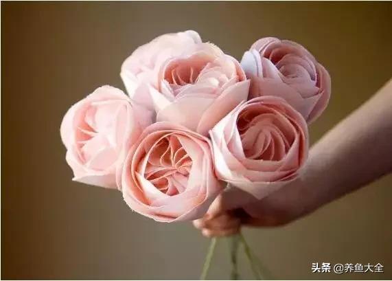 世界名贵花图片大全集,世界上最漂亮名贵的花卉