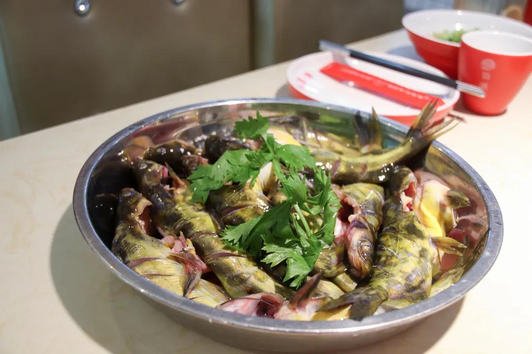 专注制作鱼火锅,专业做鱼蛙火锅整整20年了