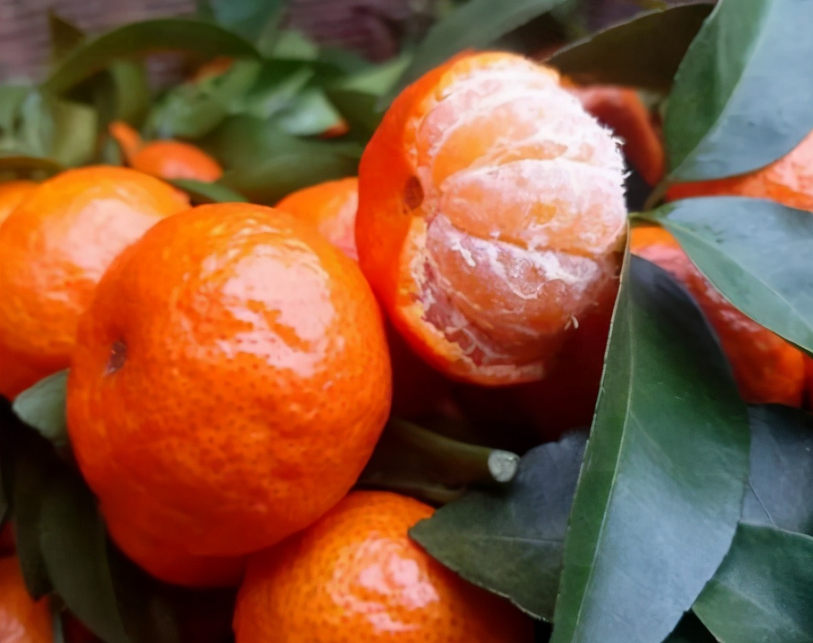 什么季节的沙糖桔便宜又好吃,买沙糖桔