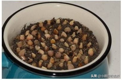 吃完的水果不要扔试试在家就能种,吃完的水果种子