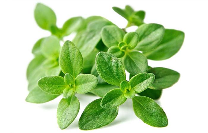 羊肉有膻味好还是没膻味好,做好的羊肉膻味太重怎么补救