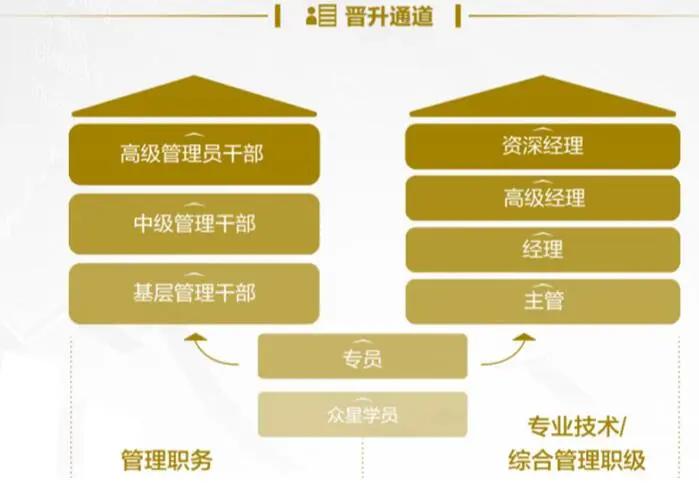 遇见杰出雇主,遇见杰出雇主最新消息