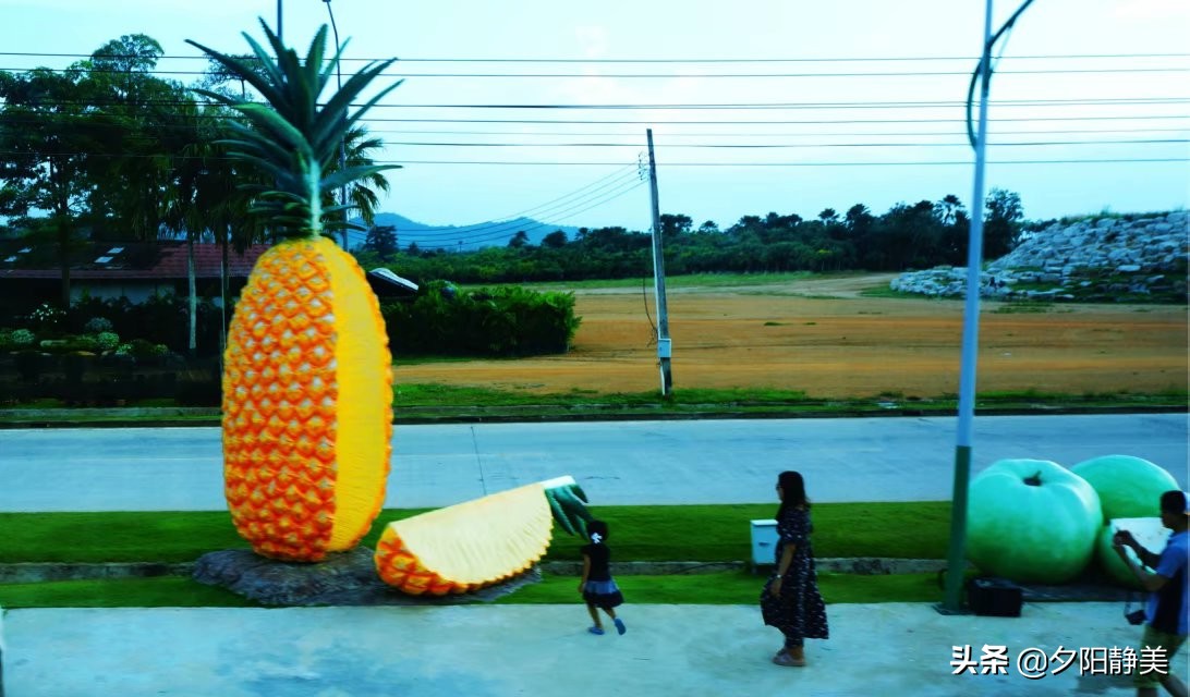 泰国芭提雅东芭乐园视频,芭提雅东芭乐园游玩攻略