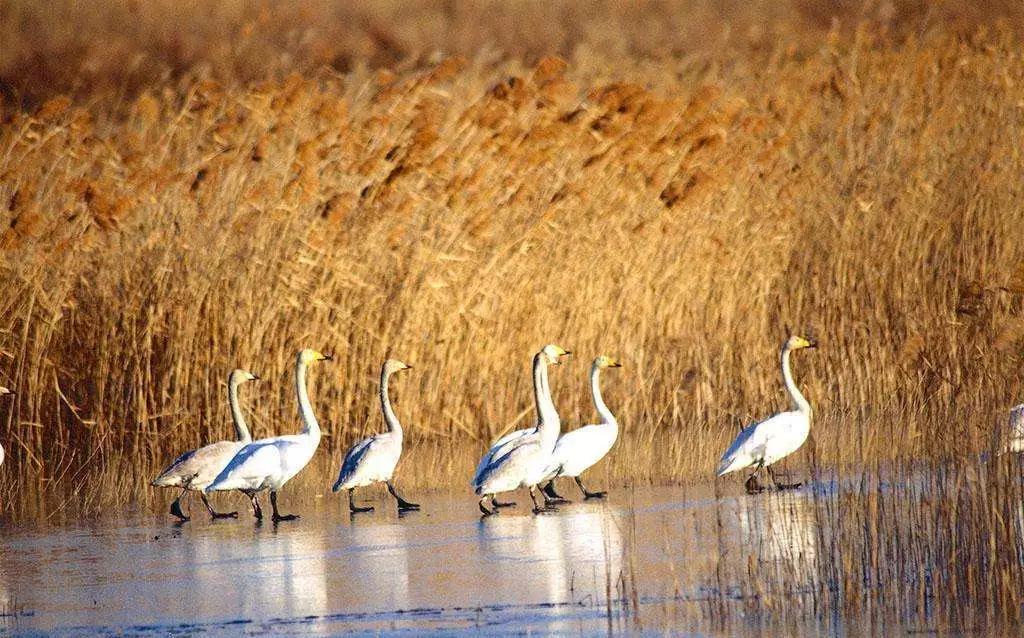 宝藏新公园周末好去处快来打卡,必打卡的宝藏公园