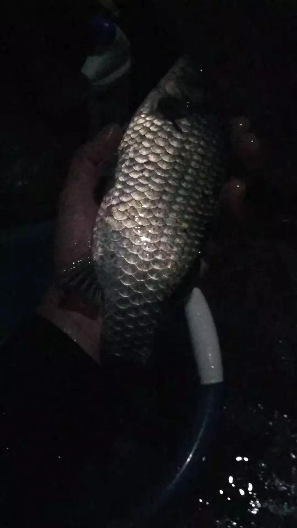 天时地利人和方为致胜,天时地利人和钓鱼