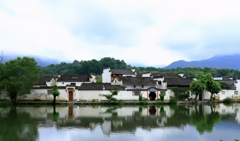 带着狗子旅行推荐,带着狗狗游新疆