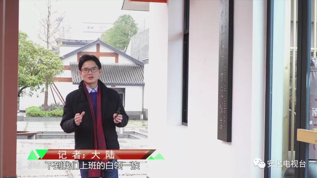 安化黑奶茶,安化又贵又好喝的奶茶