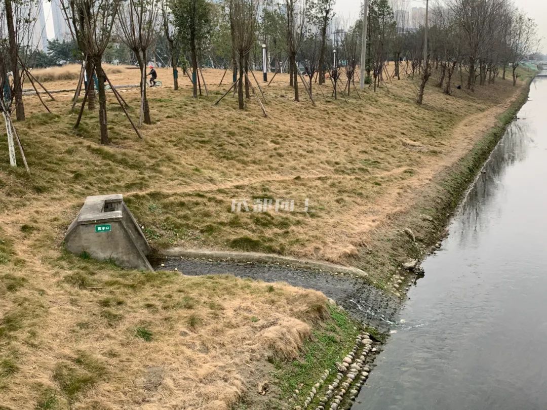 成都绿道风景美如画,成都周边哪条河边绿道最美