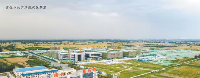 奋起直追创新高,奋起直追成为黑马