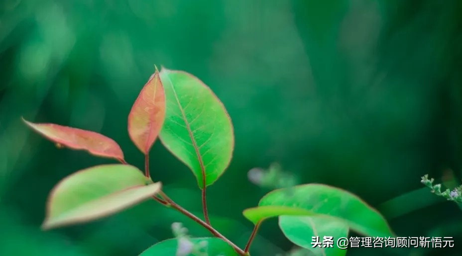 旅行社管理制度全套,旅行社安全管理制度