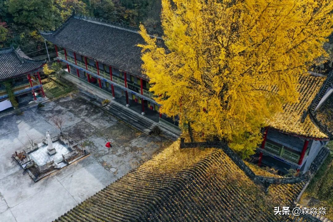 秦岭赏秋怎么玩才好玩呢,大秦岭山旅游攻略