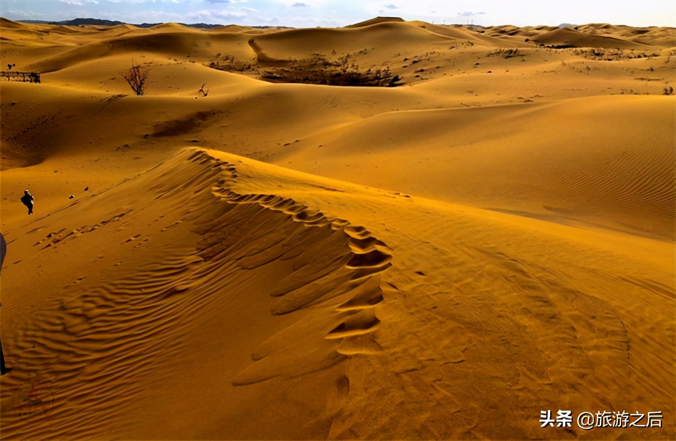 宁夏沙坡头滑沙,宁夏山丘滑沙